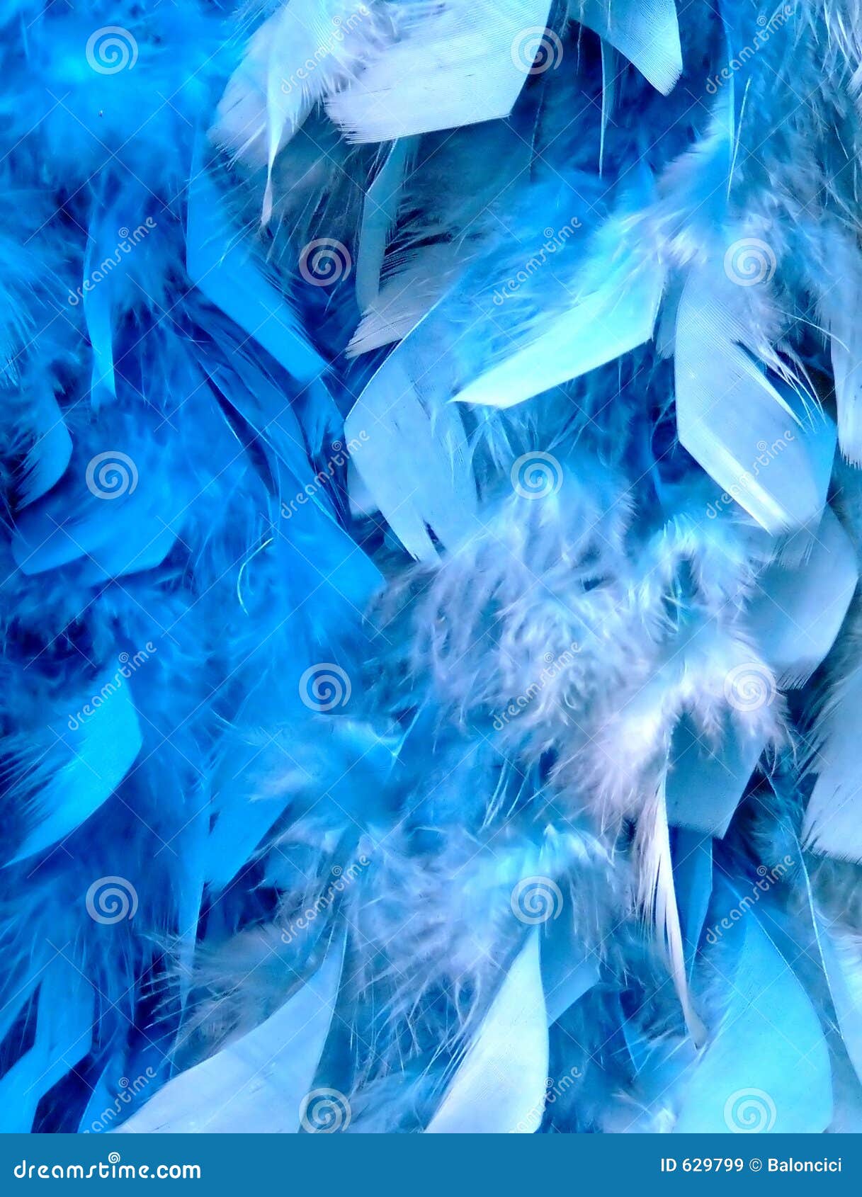 Blauwe veren stock afbeelding. Image of golvend, veer, toebehoren - 629799