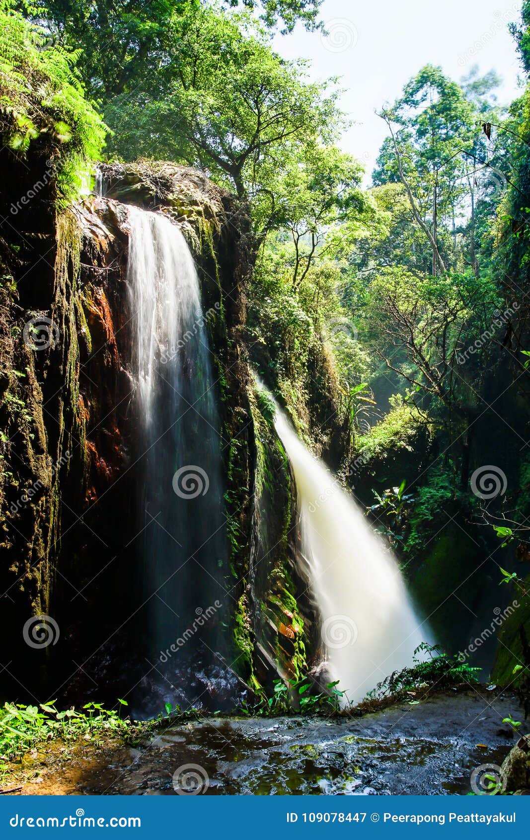 blawan waterfall around kawa ijen crater, beautiful waterfall hidden in the tropical jungle,east java, indonesia.