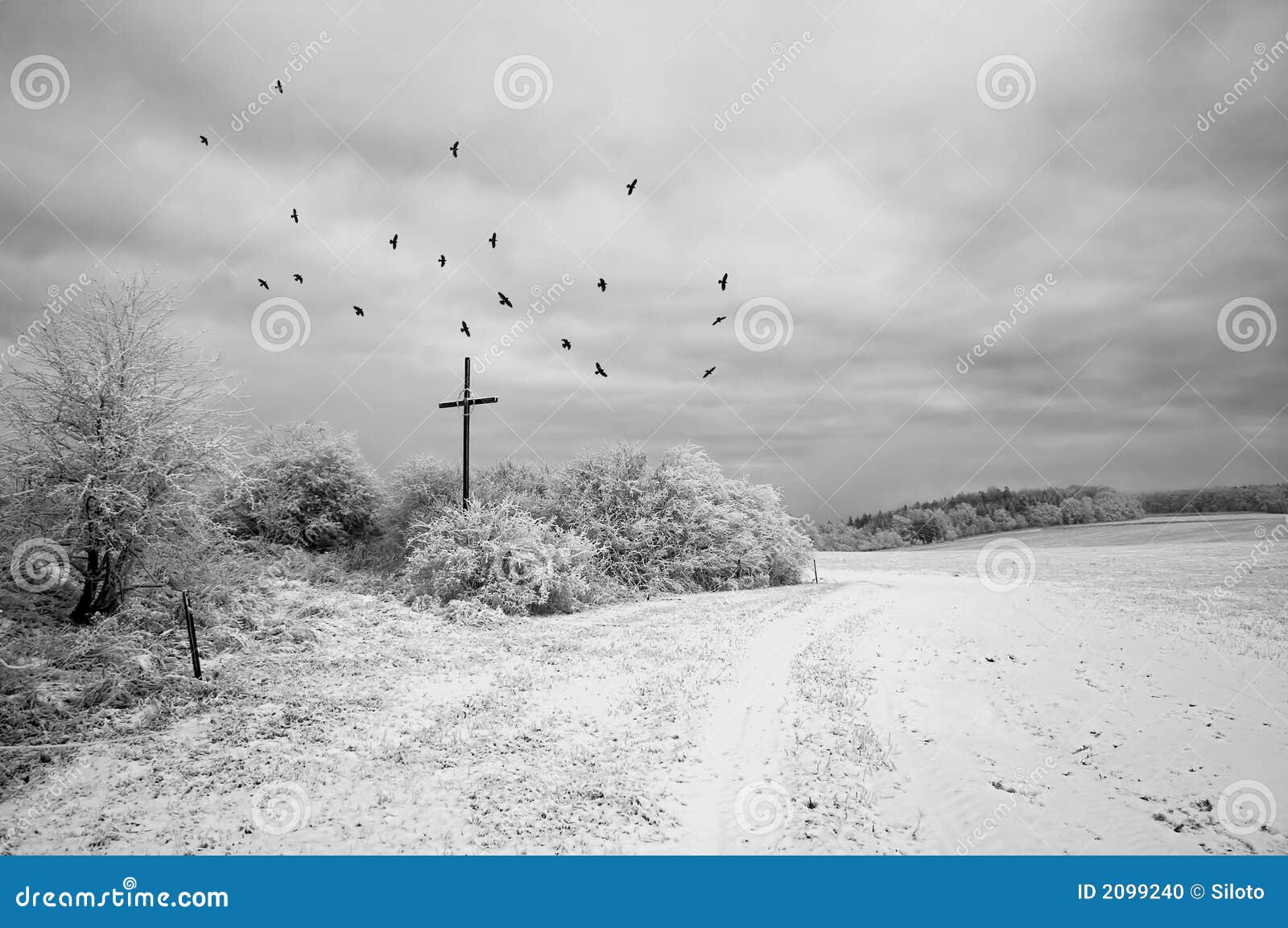 Bleak stock photo. Image of mood, miserably, winter, abstraction 2099240