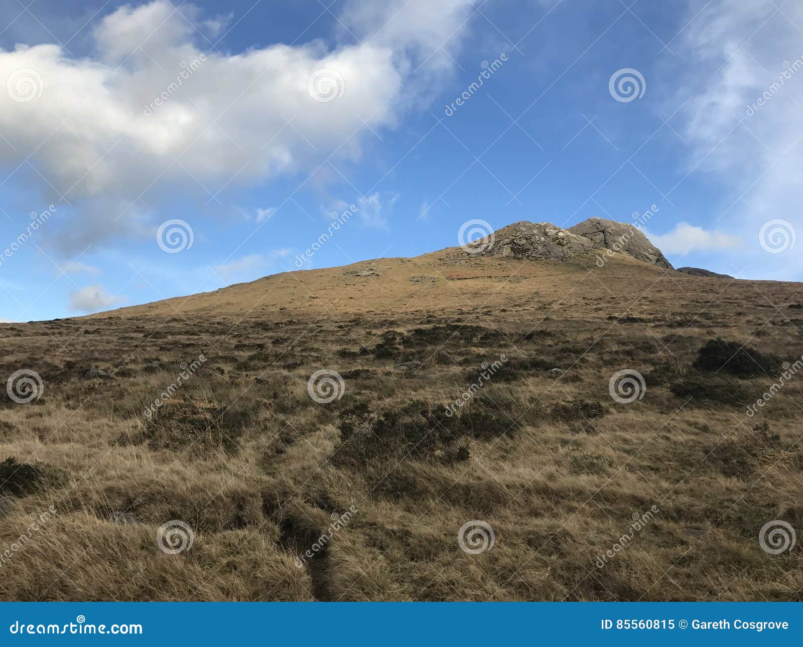 bleak highland in northern ireland