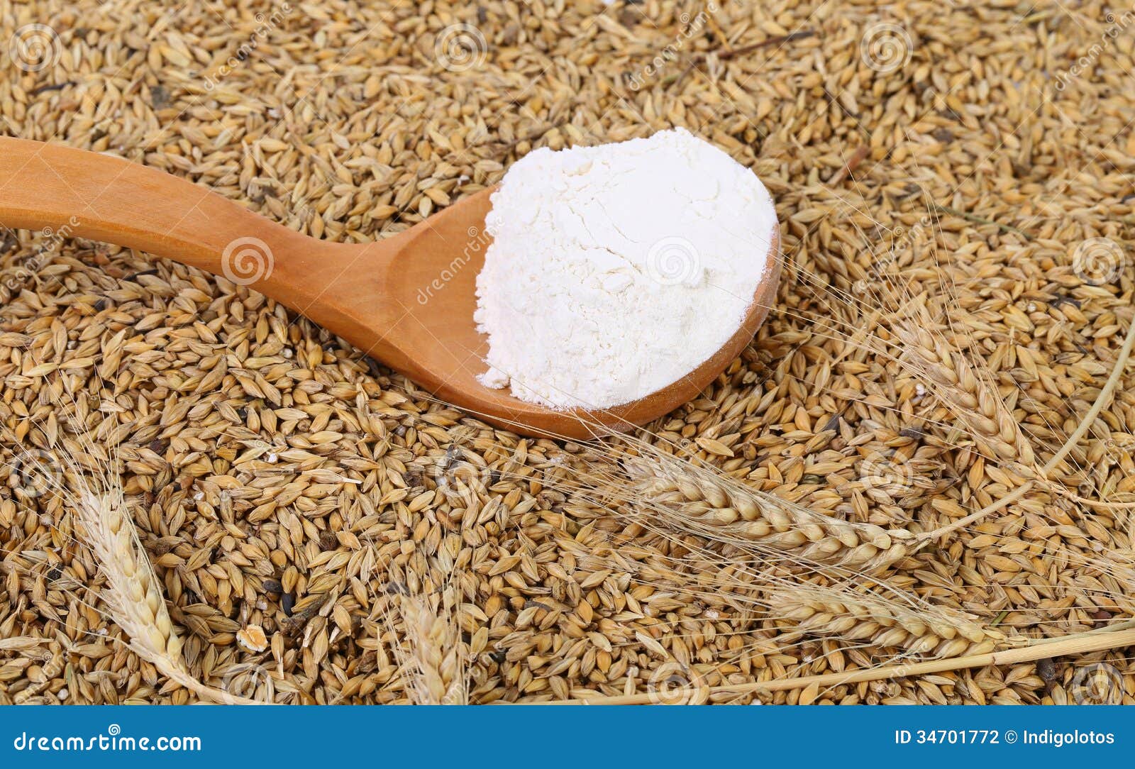 Blend of Different Grains and Flour. Close Up Stock Photo Image of