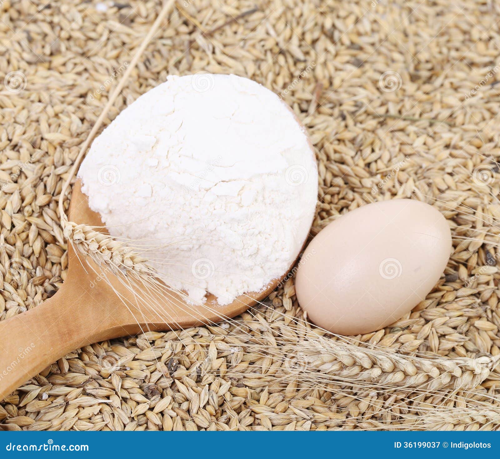 Blend of Different Grains and Flour. Close Up Stock Image Image of