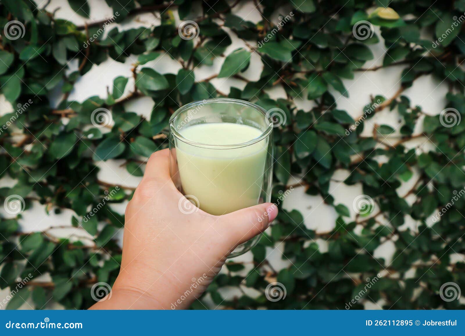 Blended Avocado , Avocado Smoothie or Avocado Yogurt or Avocado Milk
