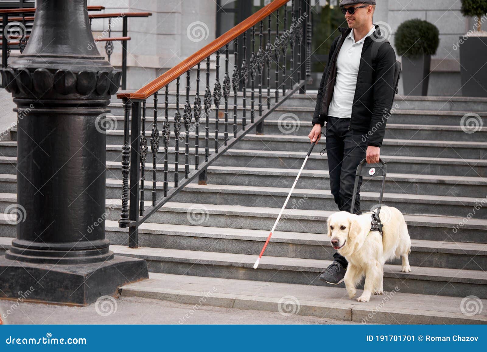 dog walking down stairs