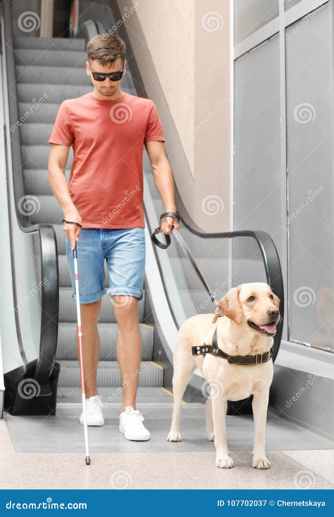 blind man with dog