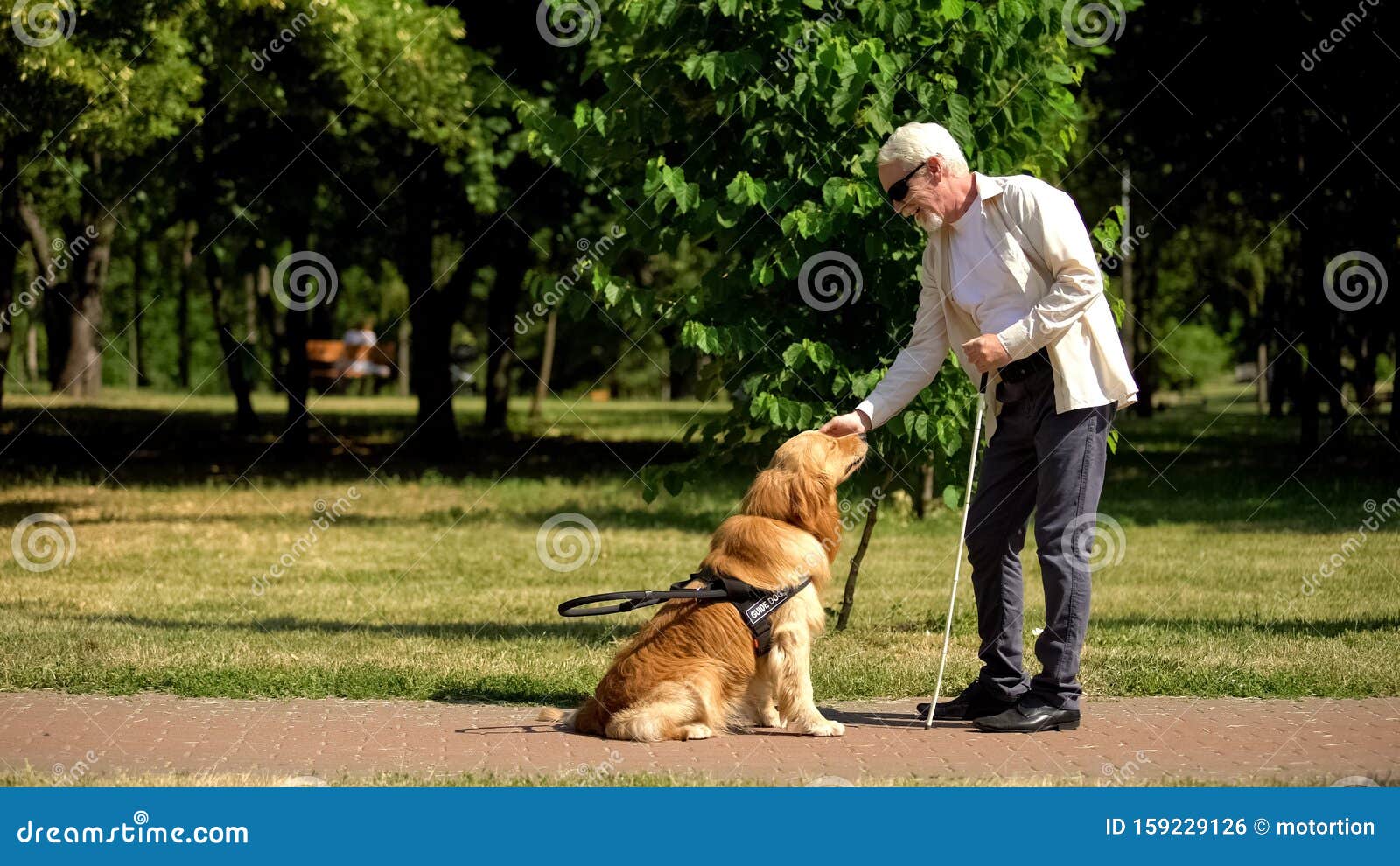 blind man training guide dog in park, giving obedience commands, impairment