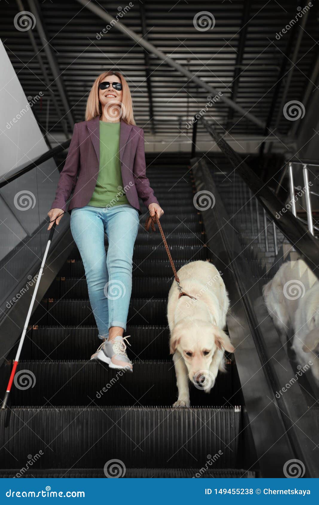 Escalator Long Stairway Deep, High, Bright Art Museum Modern Stock