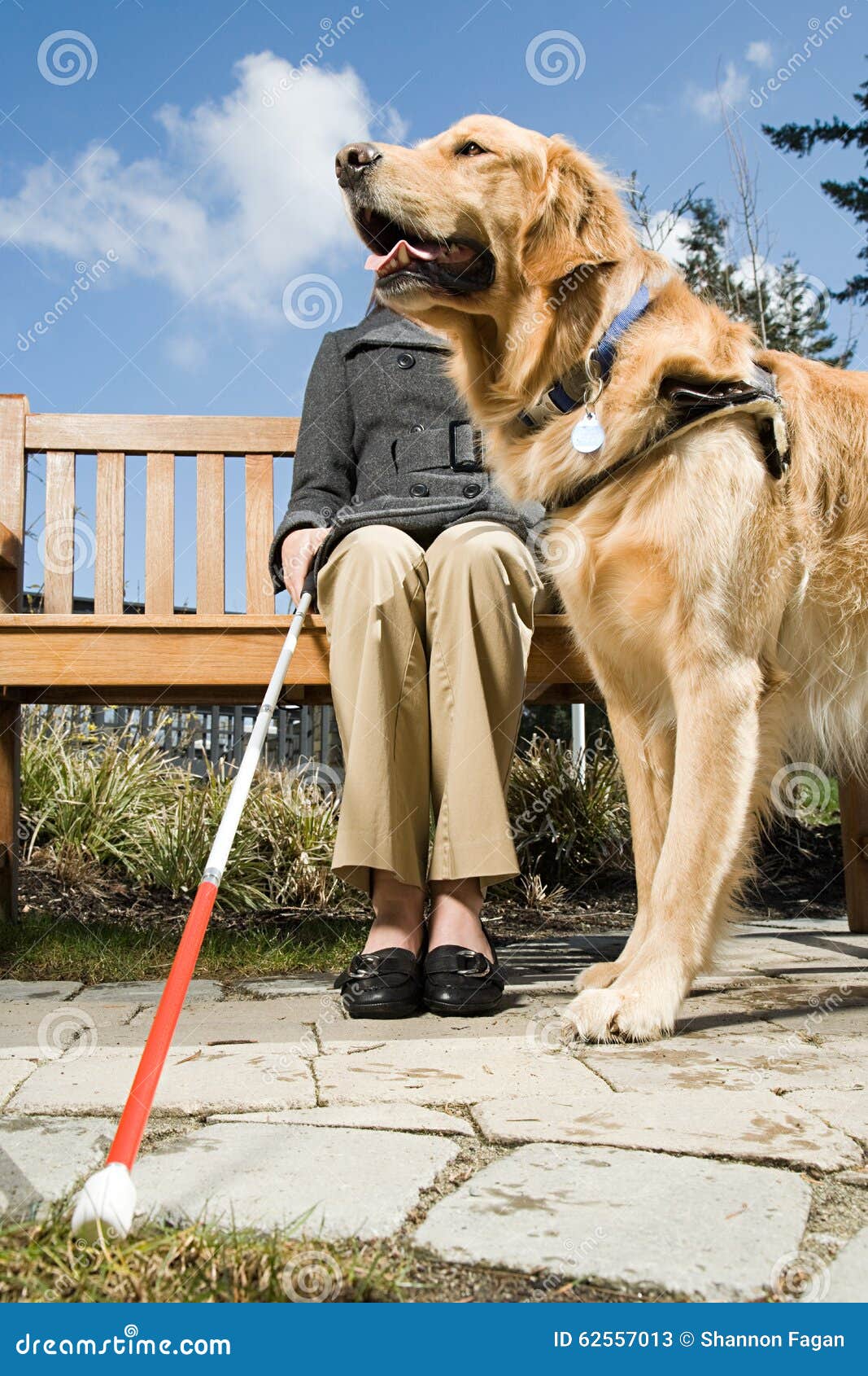 blind woman and a guide dog