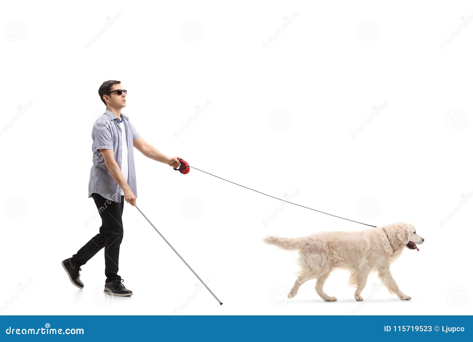 Blind Young Man Walking With The Help Of A Dog Stock Image ...