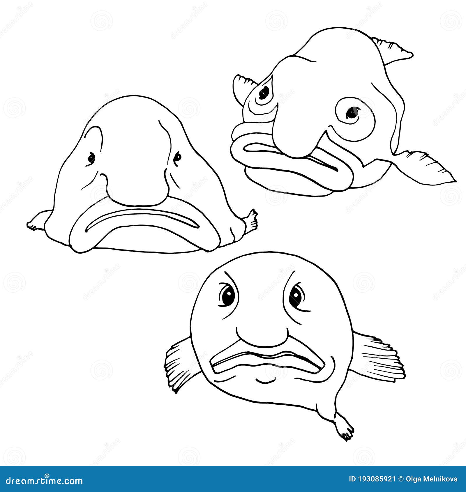 Blobfish Funny Deepsea Fish Vector Illustration In Doodle Style