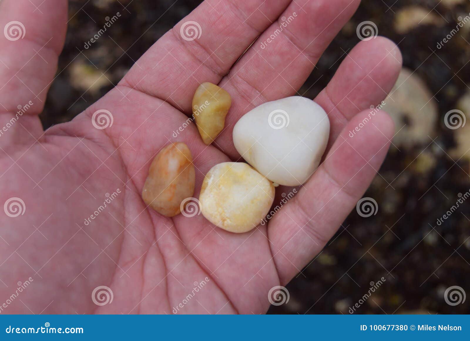 Block Island Rocks 38 stock photo. Image of island, sand 100677380