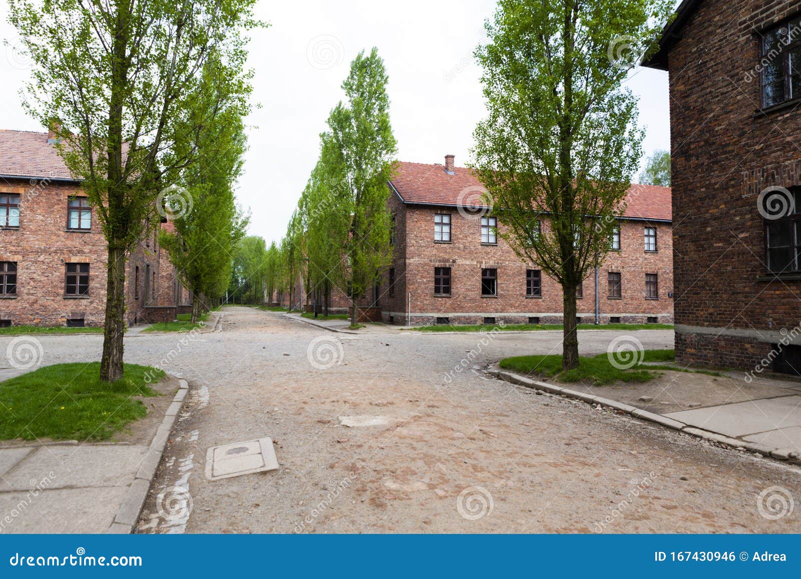 blocks from auschwitz concentration camp complex