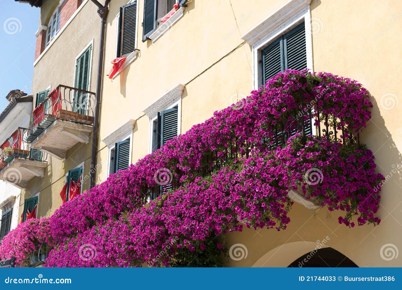 goud Ondenkbaar Schipbreuk Bloemen op balkon stock afbeelding. Image of zomer, landgoed - 21744033