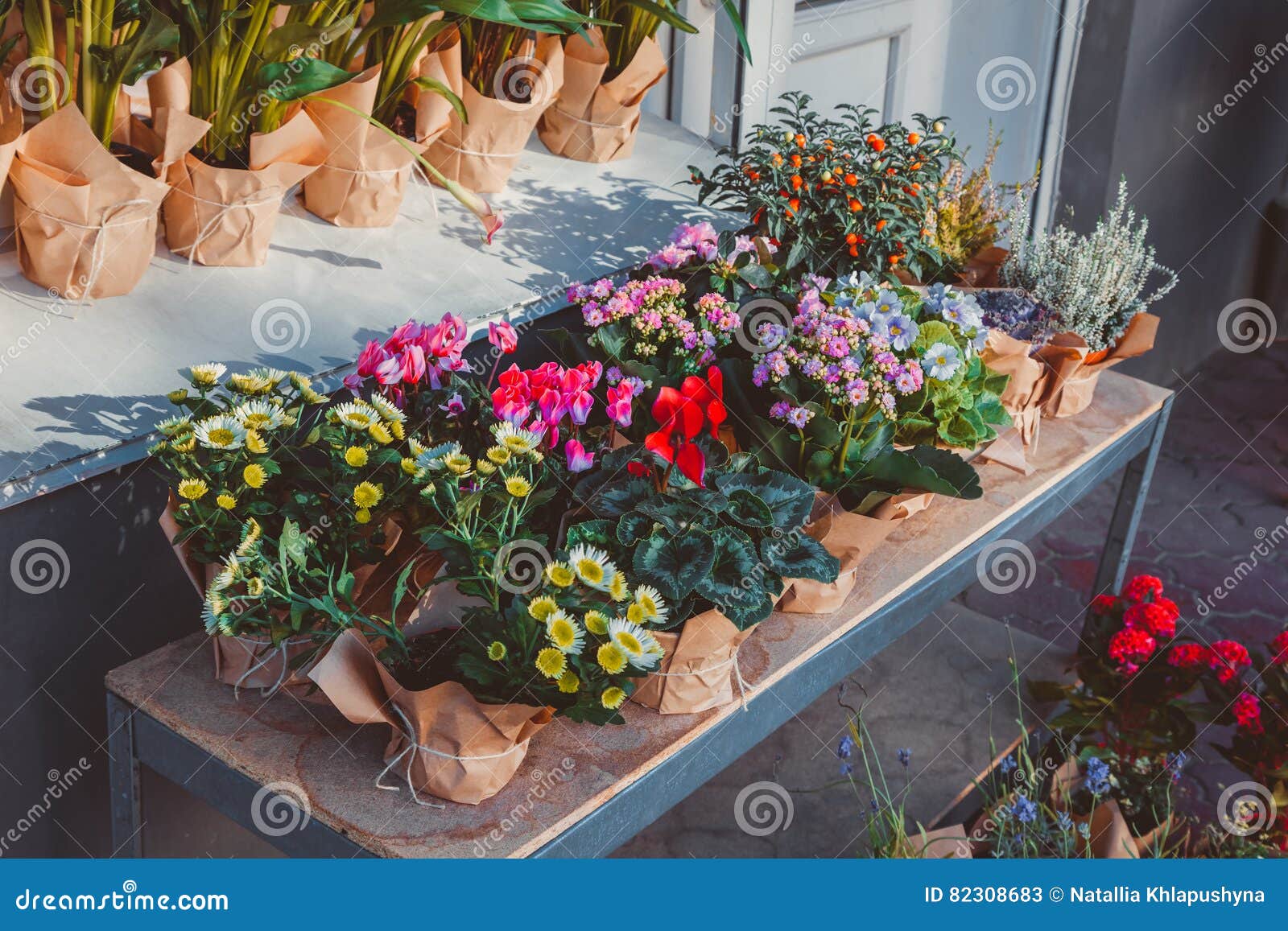 Wonderbaarlijk Bloemen in potten buiten stock afbeelding. Afbeelding bestaande AQ-85