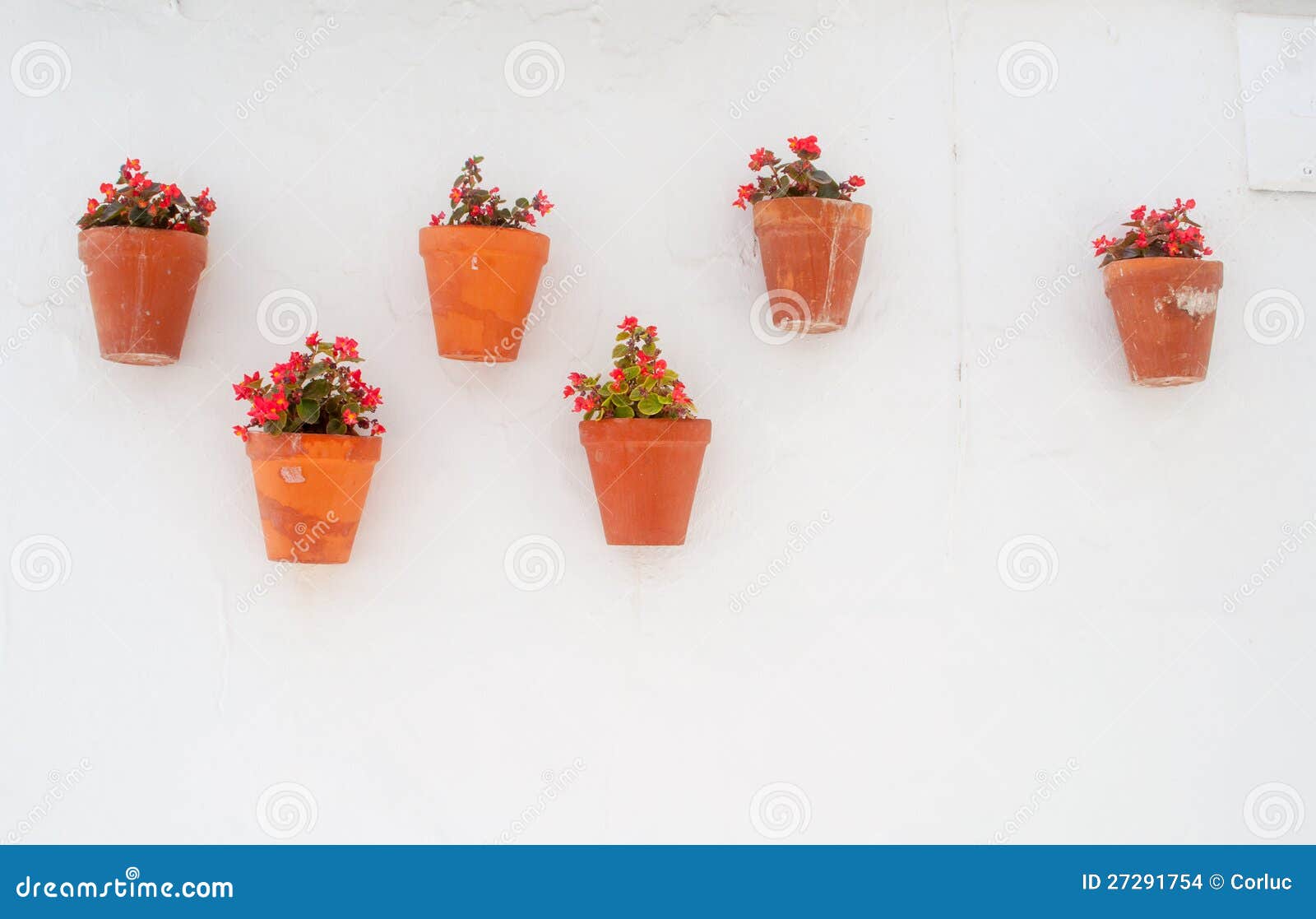 erger maken longontsteking zelfmoord Bloempotten Op Spaanse Muur Stock Foto - Image of horizontaal, bloem:  27291754
