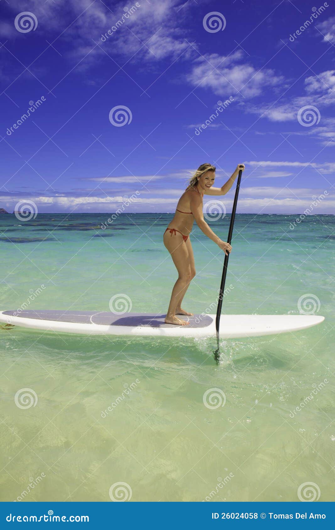 Blond in Bikini on Paddle Board Stock Photo Image of smiling, hawaii