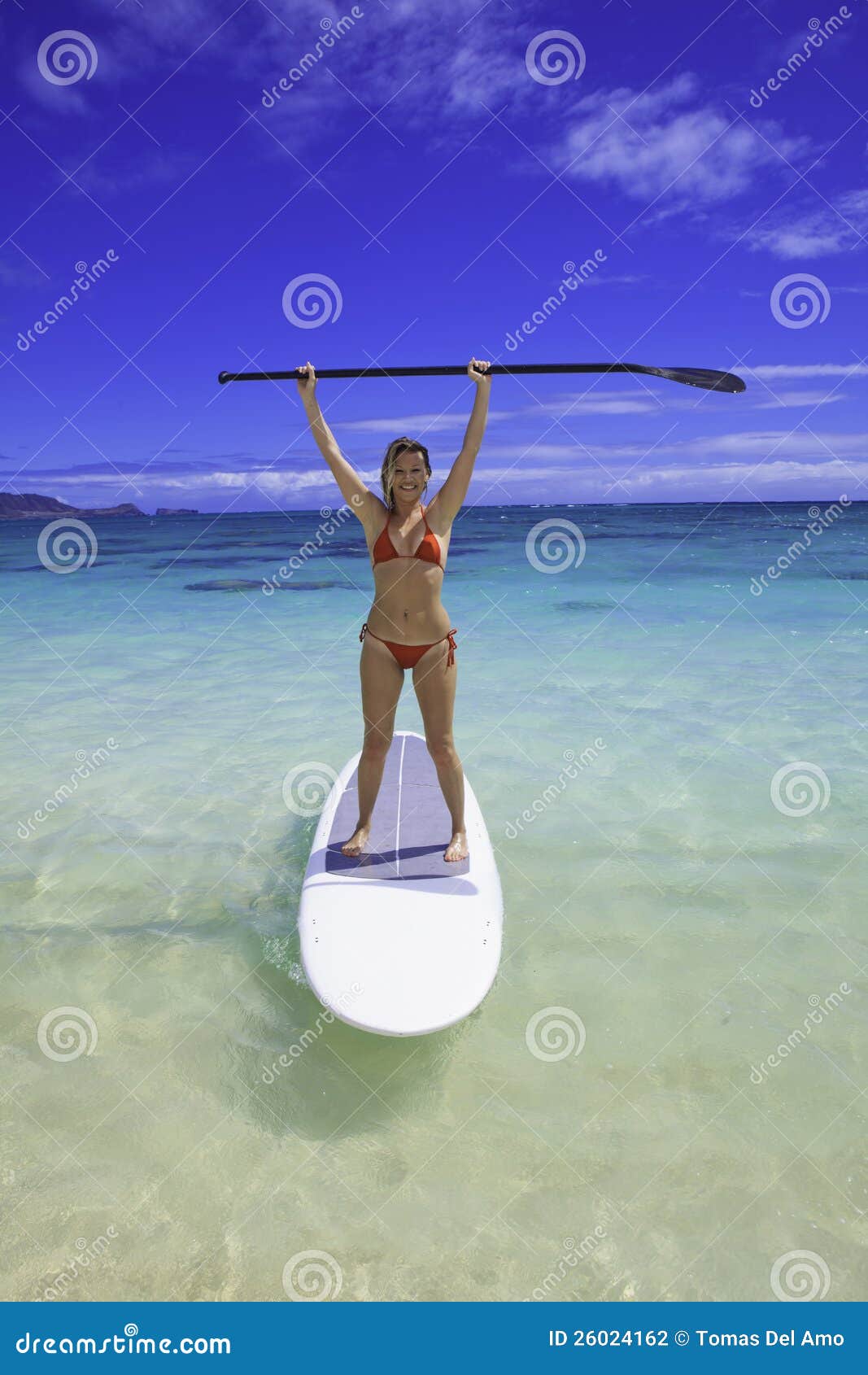 Blond in Bikini on Paddle Board Stock Photo Image of female, sport
