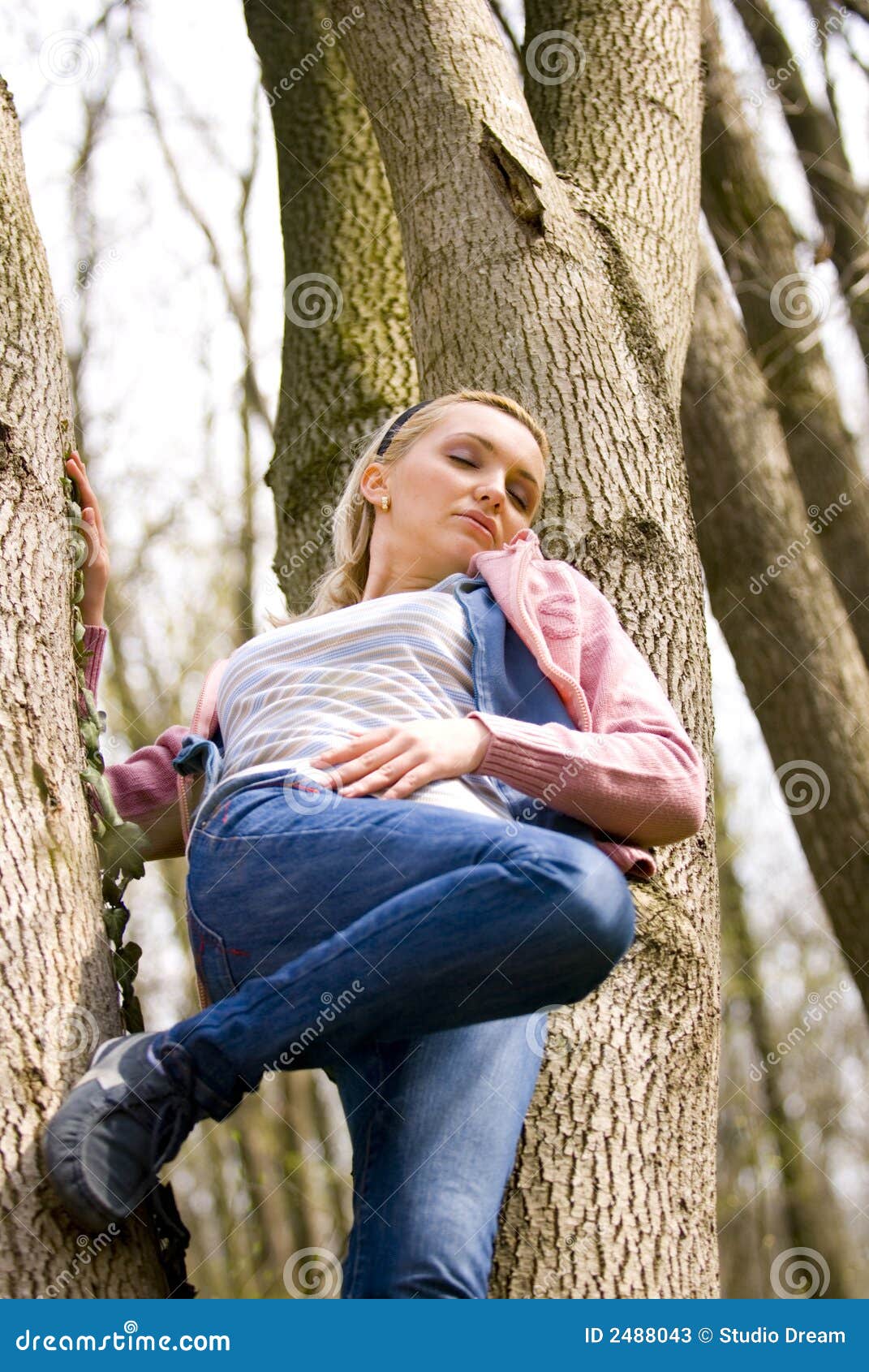 Blond Girl Climbing Tree Stock Image Image Of Climbing 2488043