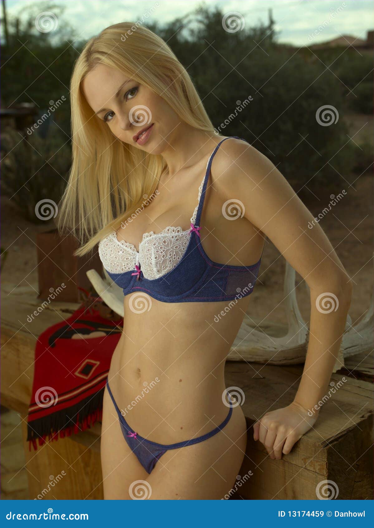 Blonde Beauty Denim Lingerie Stock Image - Image of rustic, southwest: 1317...