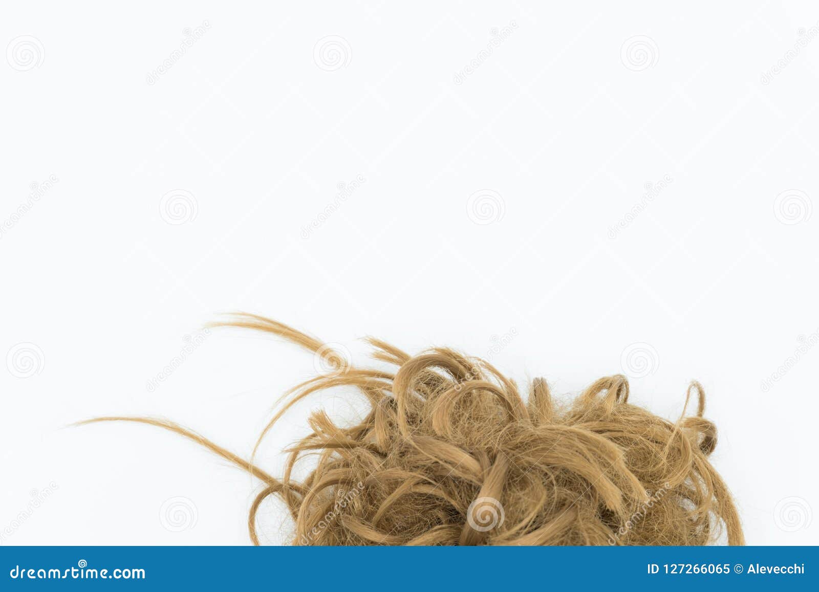 Curly Brown And Blond Hair Isolated On White Copy Space Stock