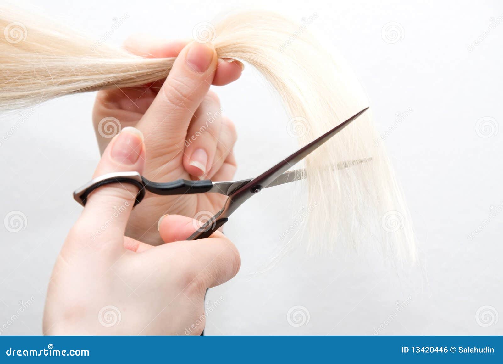 Blonde haircut scissors stock photo. Image of blonde 13420446