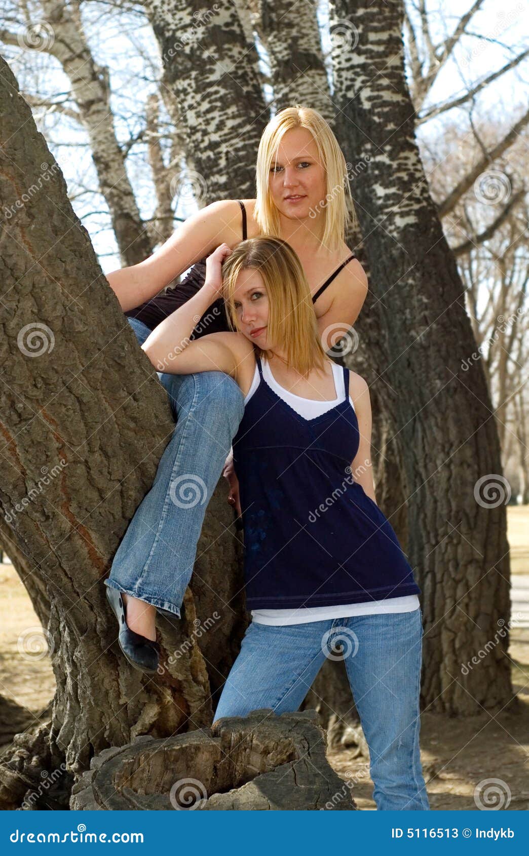 blondes and trees
