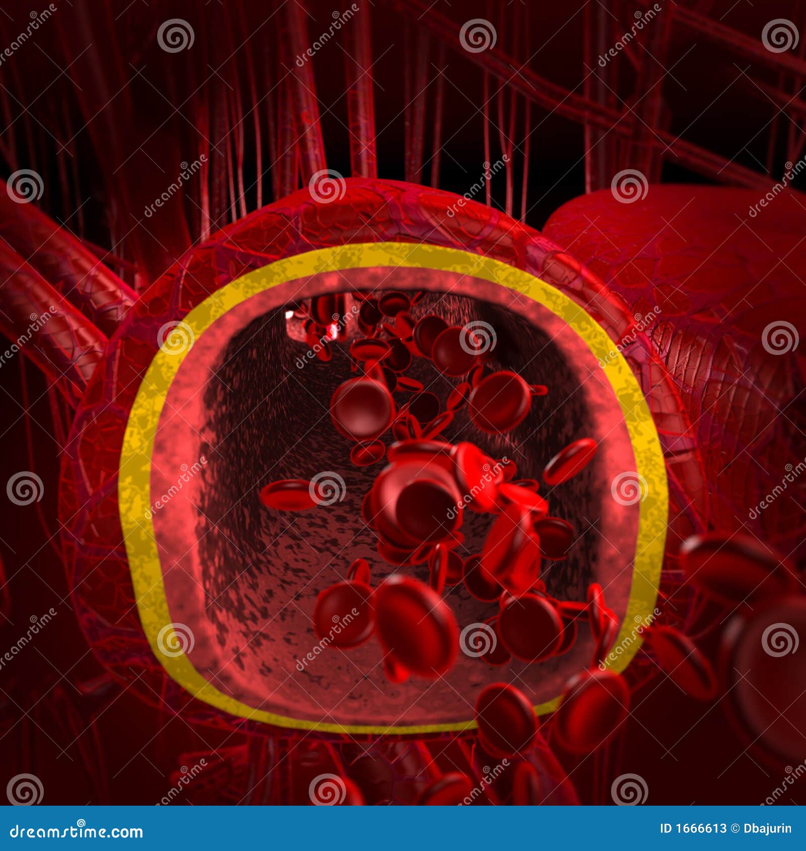 blood arteries and veins cut Coloso