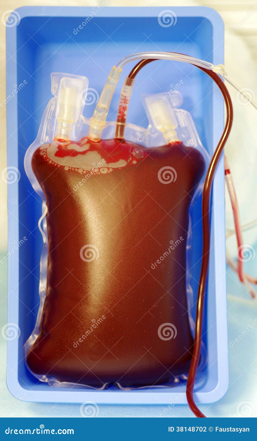 Blood bags stock photo. Image of health, horror, body 38148702