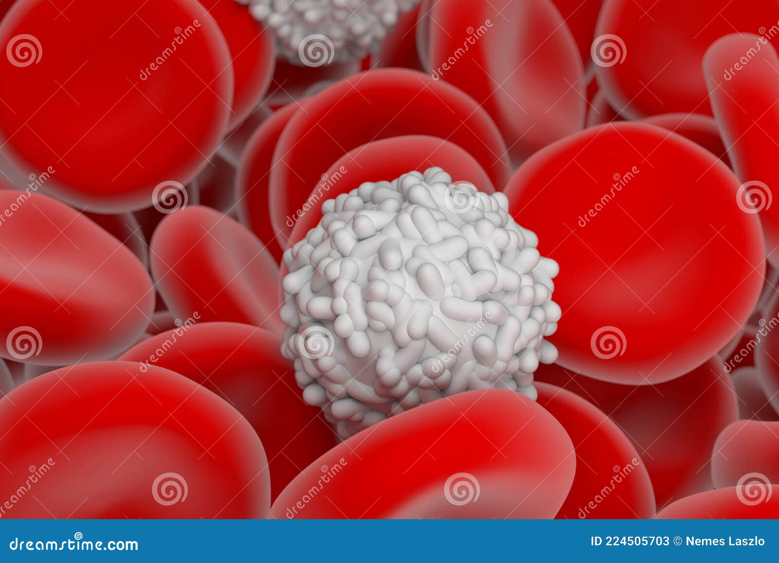 Red and White Blood Cell in the Human System 3d Illustration Close Biology Diagrams