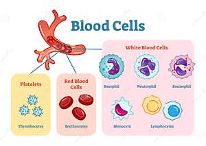 Informationn Clipart And Illustrations