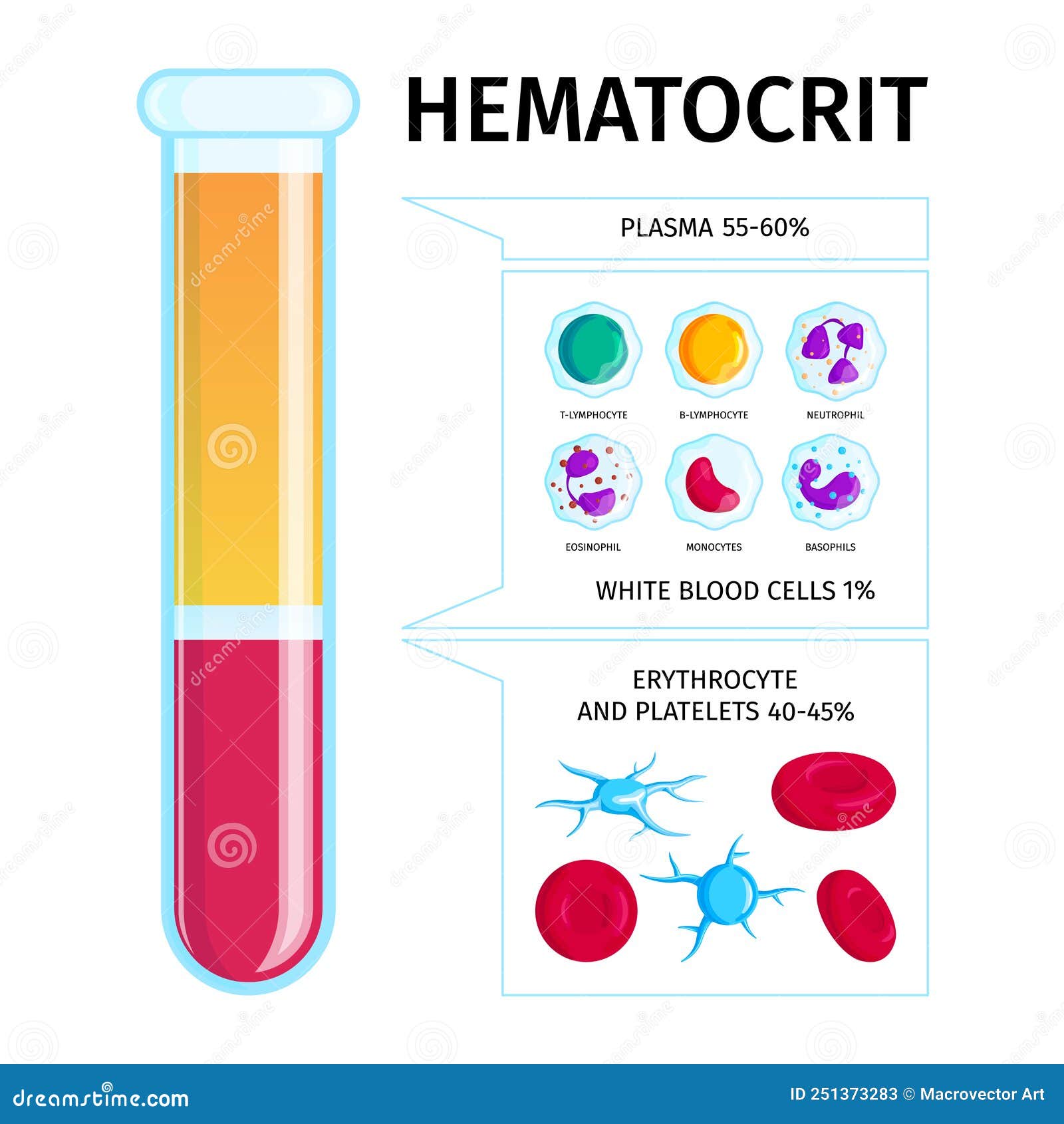 Hematocrit Test Concept Royalty Free Stock Photography CartoonDealer hematocrit-test-concept-royalty-free-stock-photography-cartoondealer