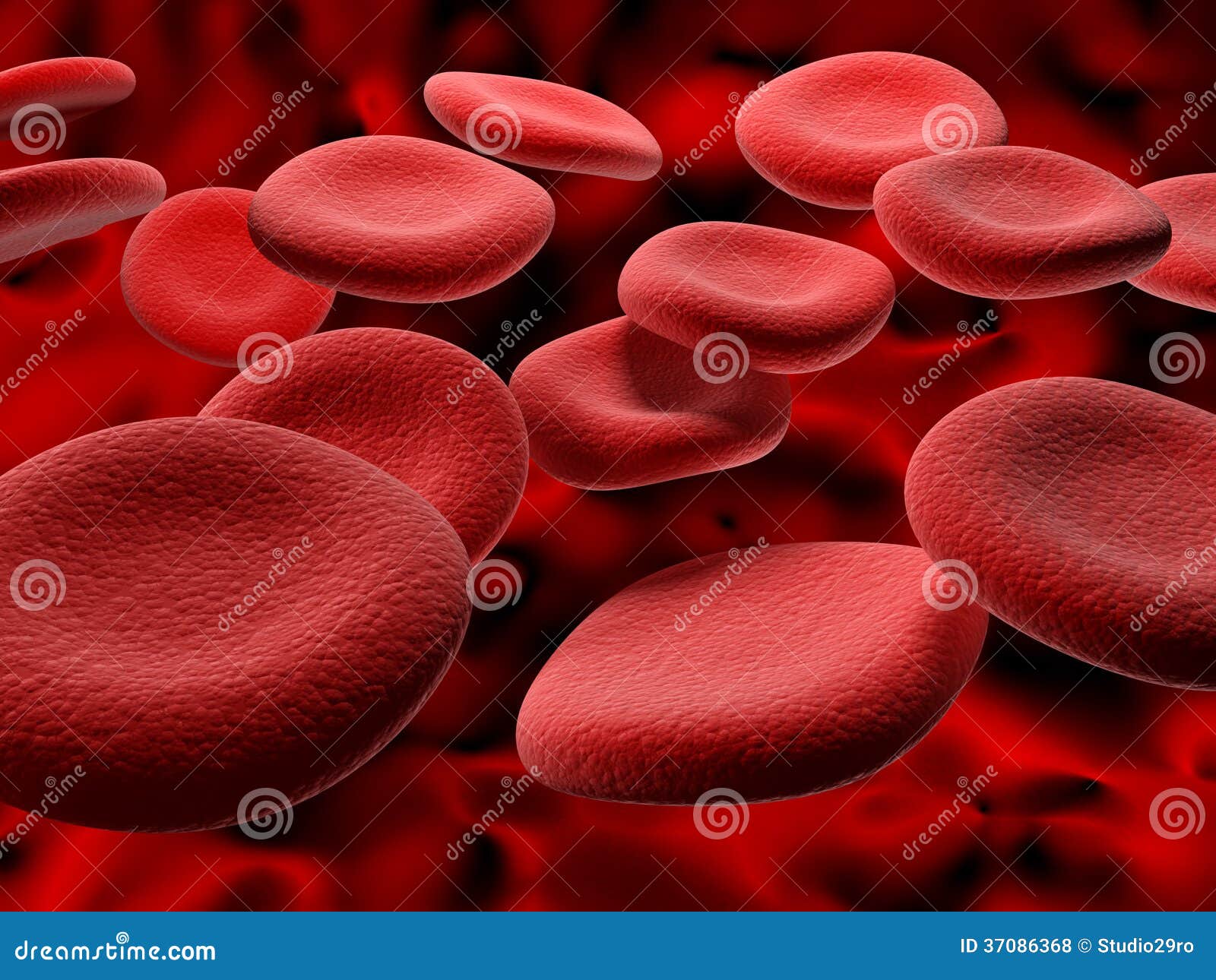 blood cells