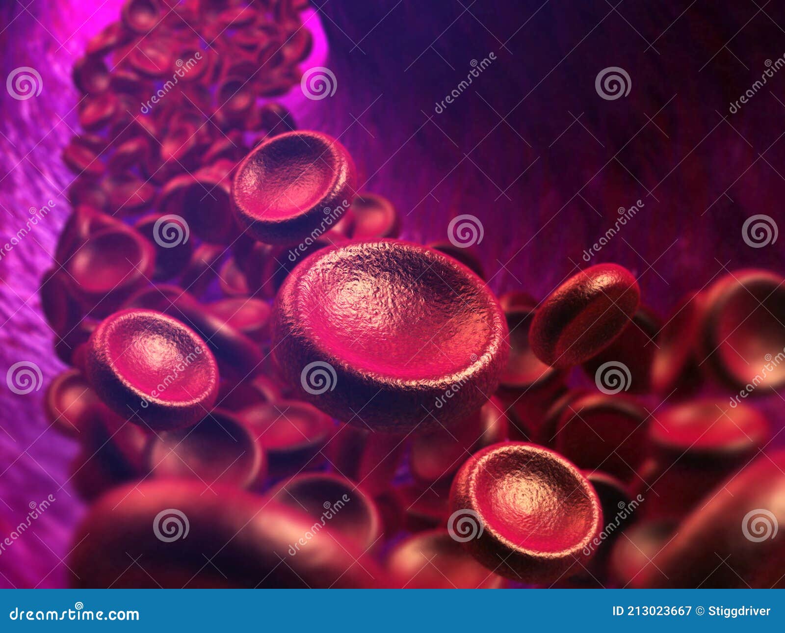 Blood Cells in Vein 3d Illustration Stock Illustration - Illustration
