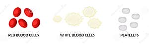 Blood Components Red White Blood Cells Plasma Chart Cartoon Vector CartoonDealer 189247899 Blood Components Red White Blood Cells Plasma Chart Cartoon Vector CartoonDealer 189247899