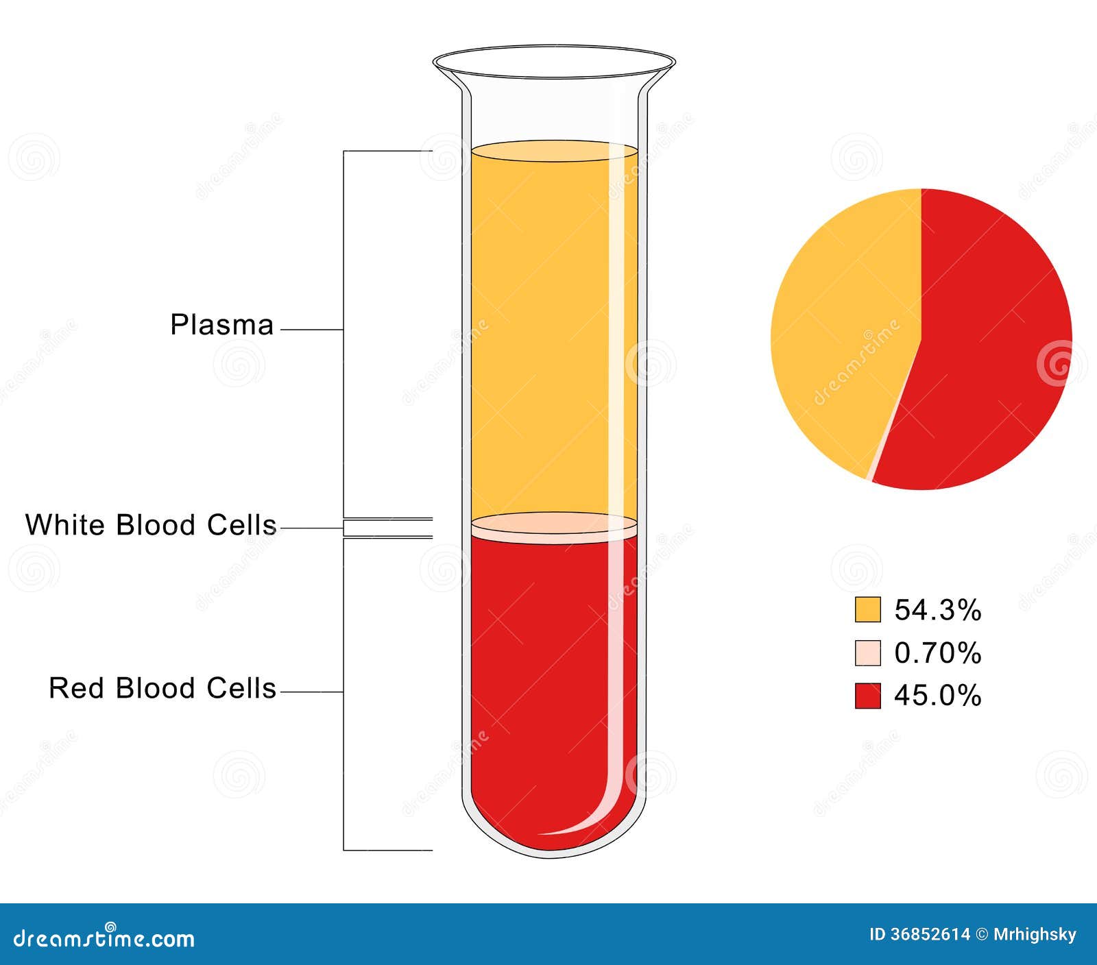 Components Of Human Blood Pie Chart