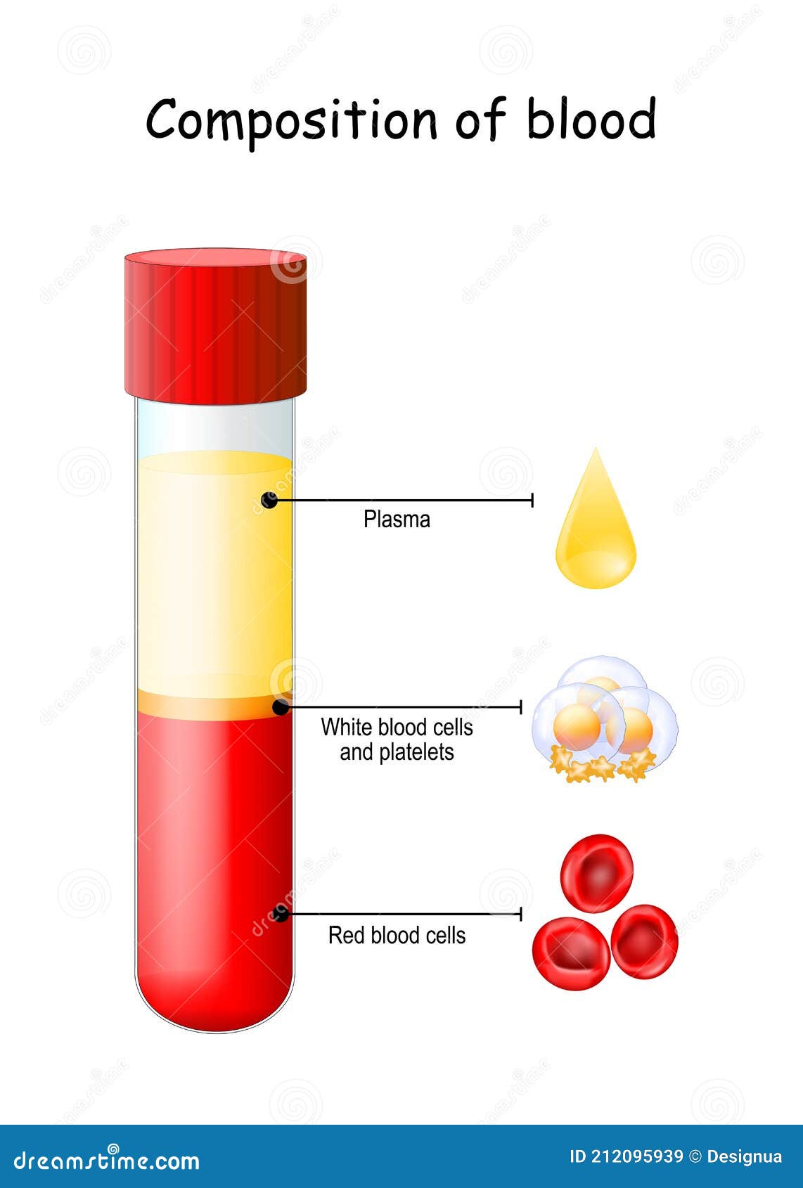 Test Tube Diagram Stock Illustrations 678 Test Tube Diagram Stock Illustrations Vectors Clipart Dreamstime