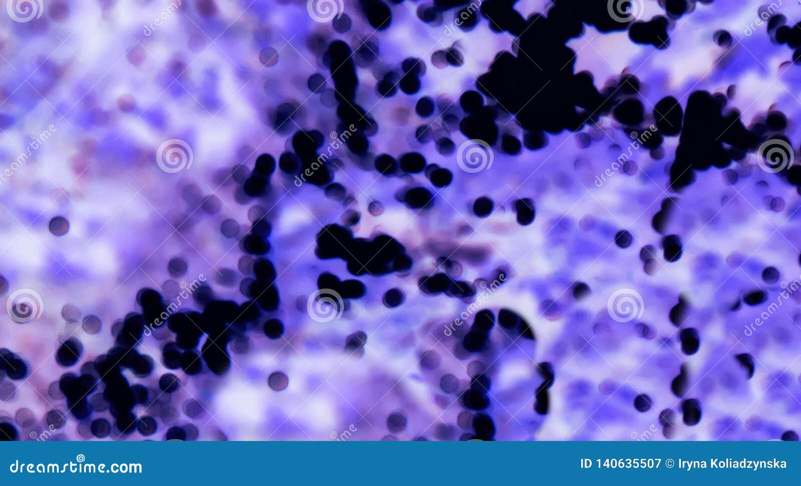 blood corpuscles a microscope, blood type view macro - image. blood