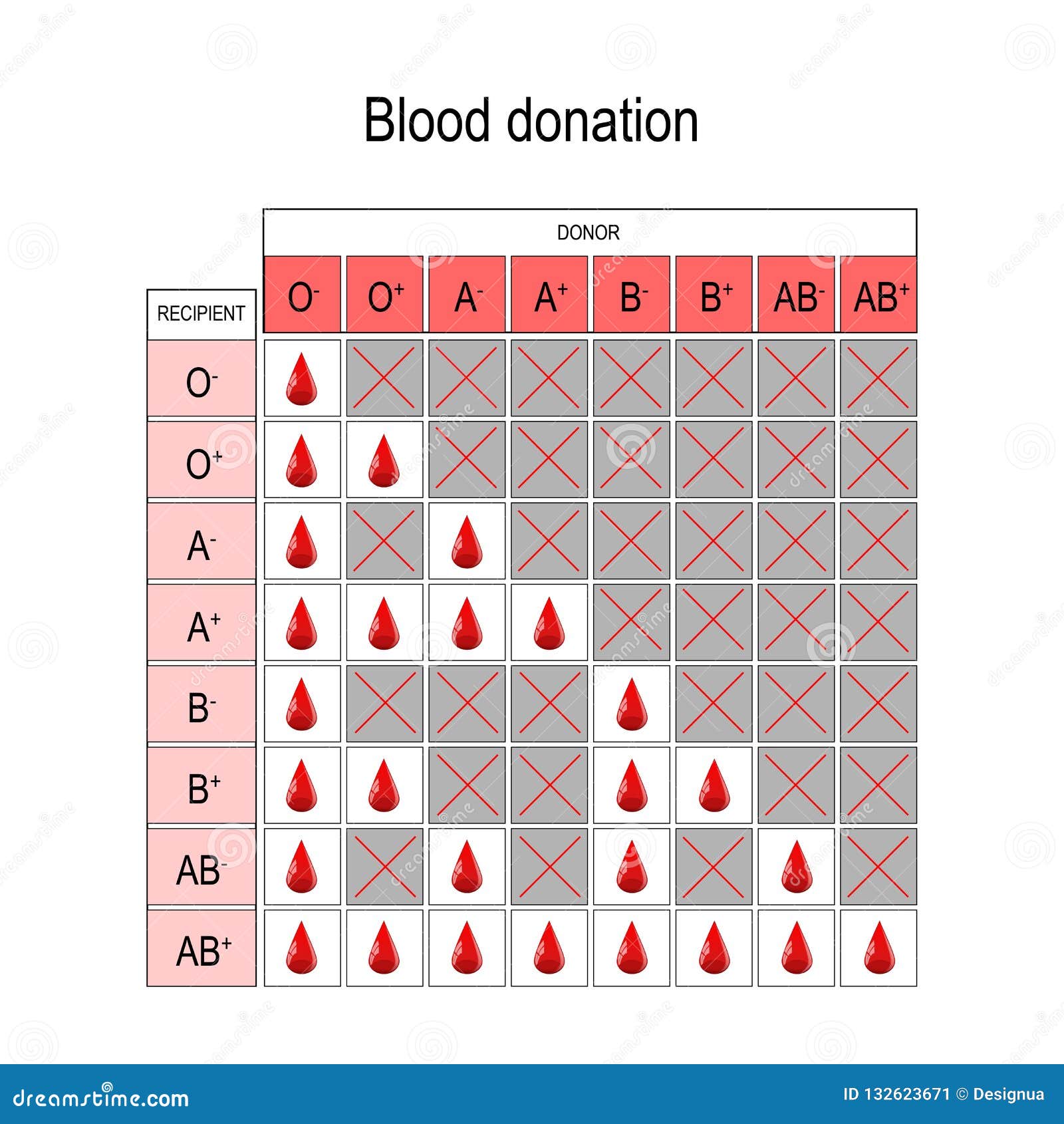 Blood Types And Donation Chart