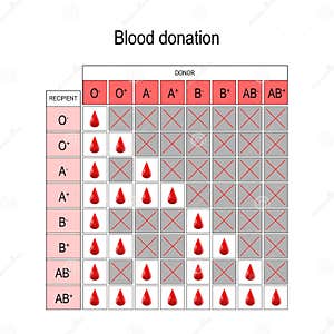 Blood Donation Chart Recipient And Donor Cartoon Vector CartoonDealer 132623671