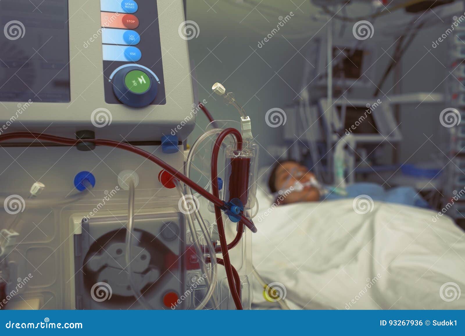 Blood Filtration of Patient in Bed Stock Photo Image of apparatus