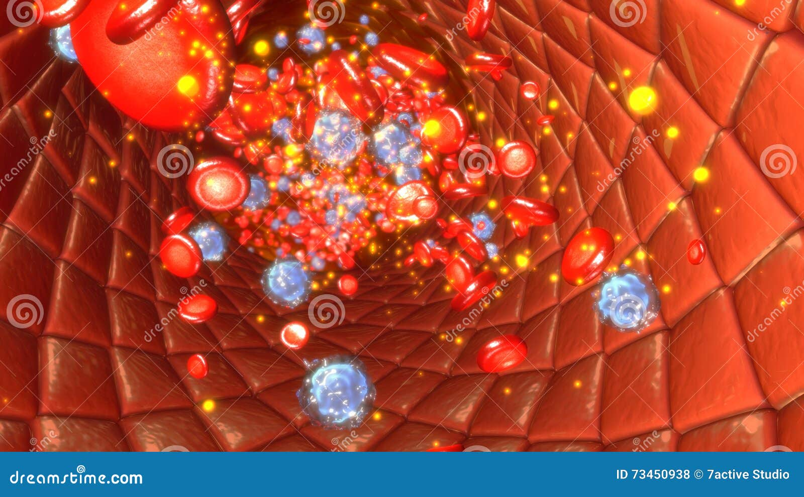 blood flow in vessels