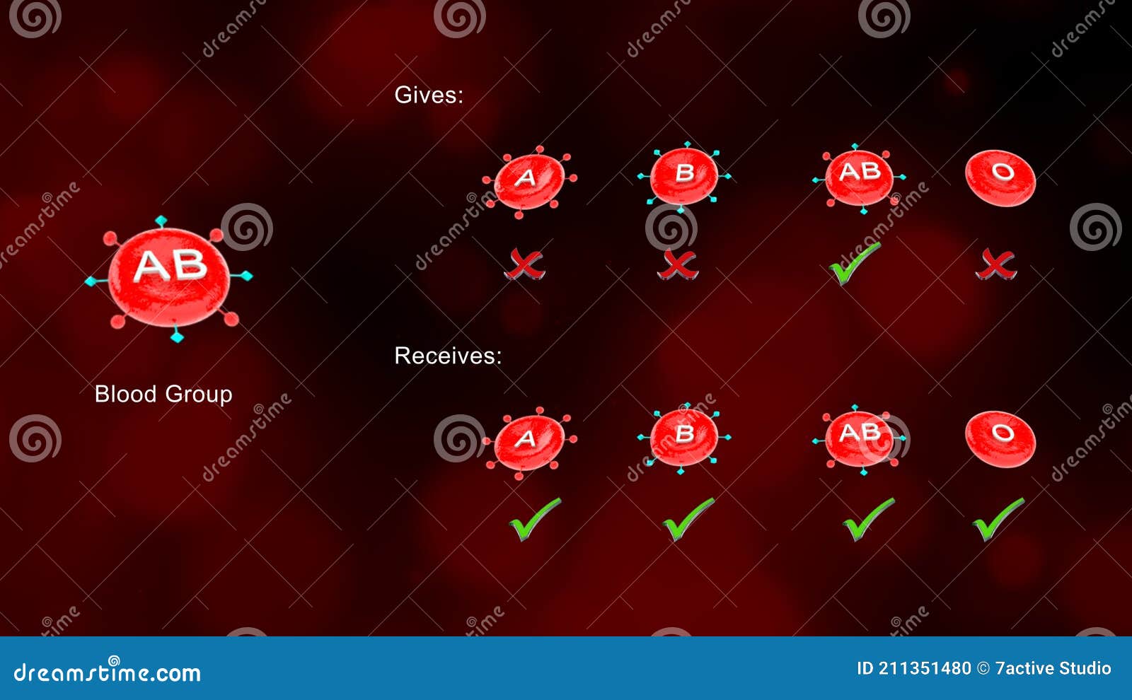 Blood Group AB with Receivers and Accepting Blood Groups Stock