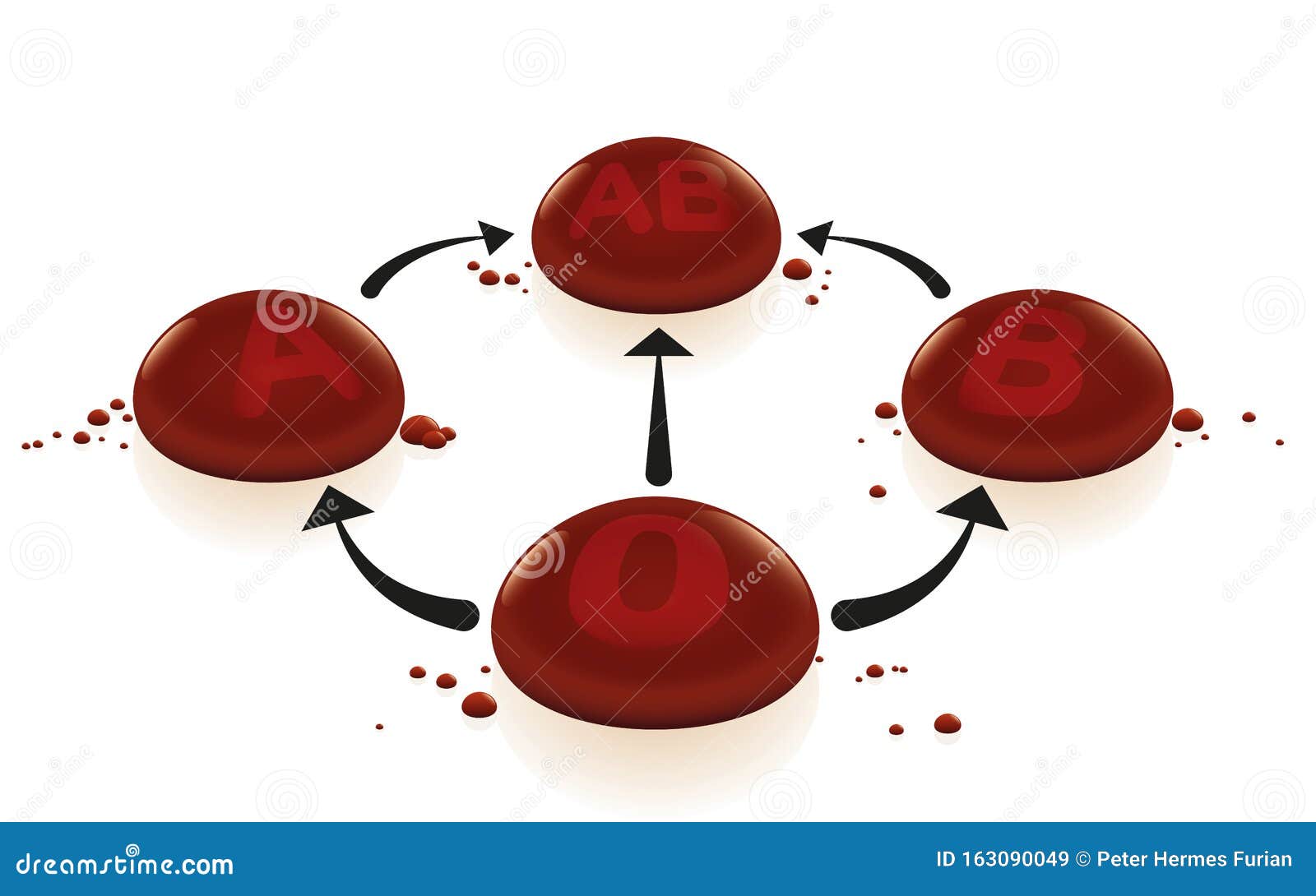 universal donor blood type universal donor blood type
