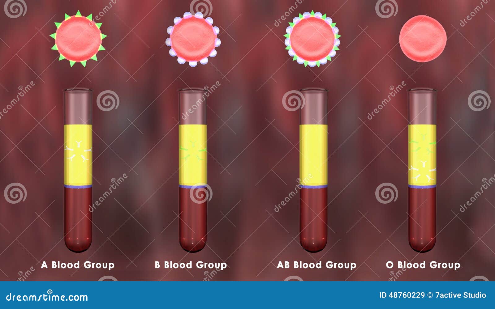 Blood groups