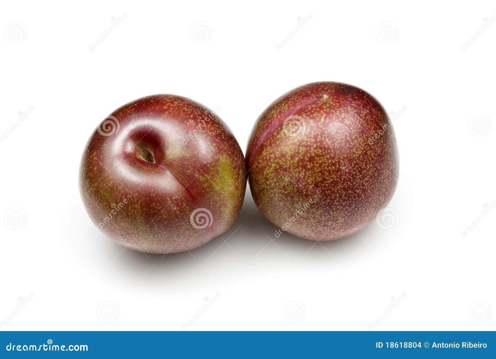 Blood Plums stock photo. Image of crop, seasonal, juicy 18618804