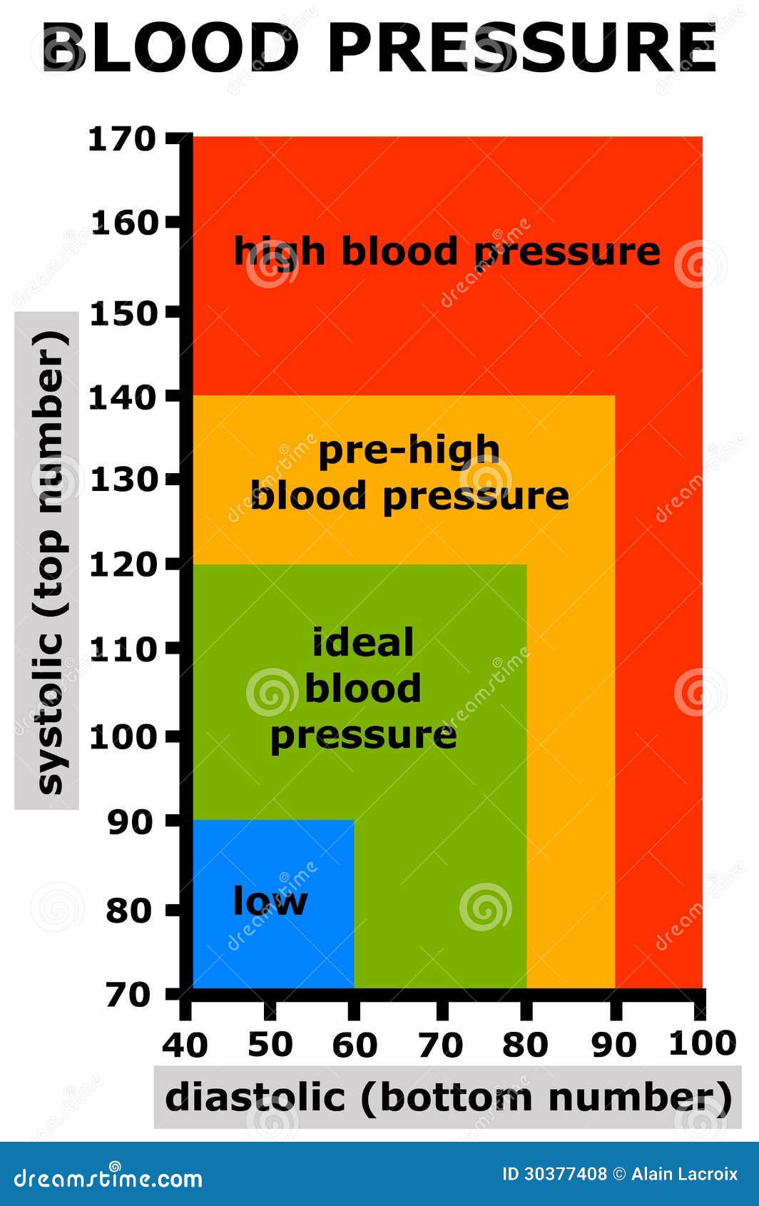 Blood Pressure Stock Illustration  Image Of Examination