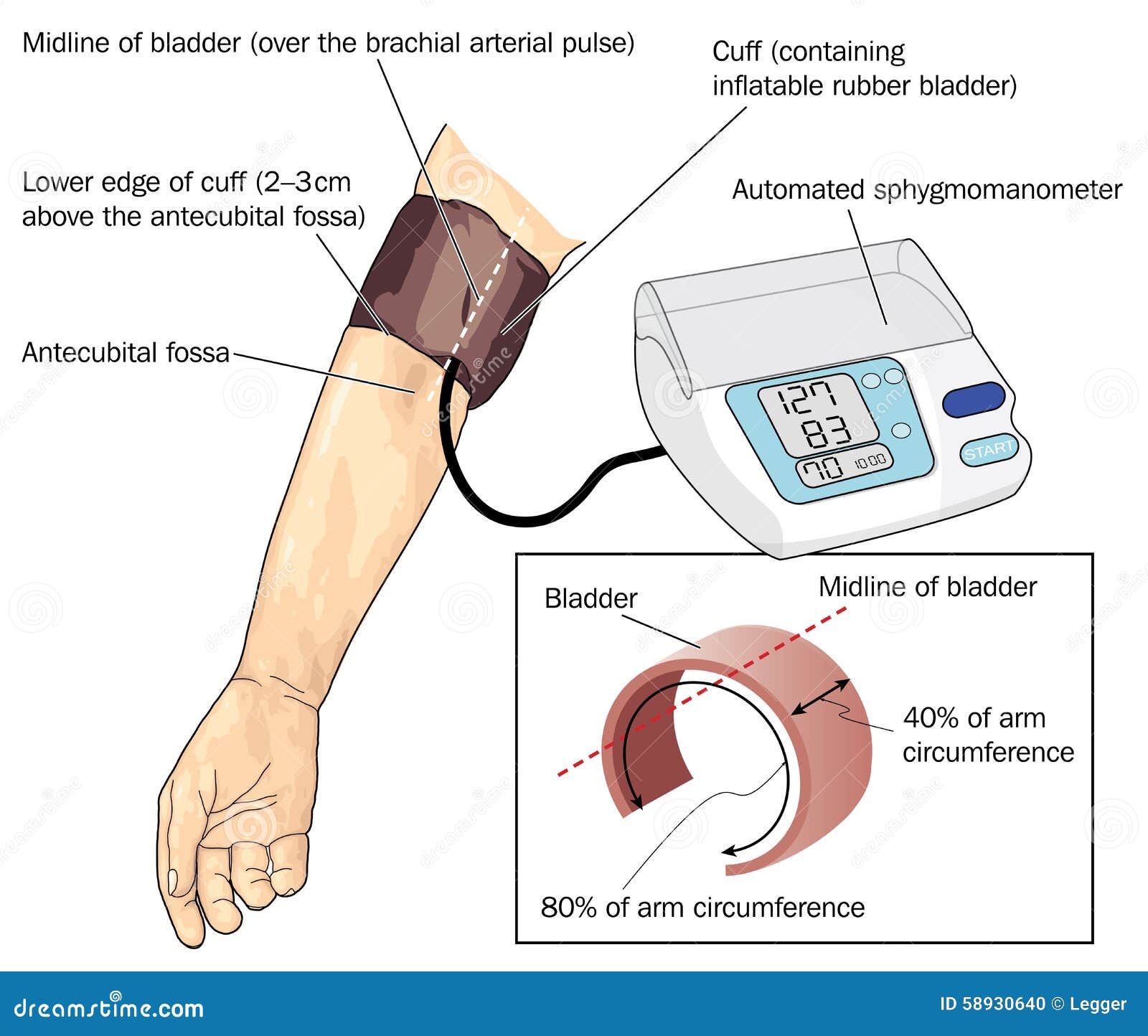 measurement of blood pressure)