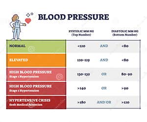 Blood Pressure With Systolic And Diastolic Number Chart Outline Diagram Stock Vector