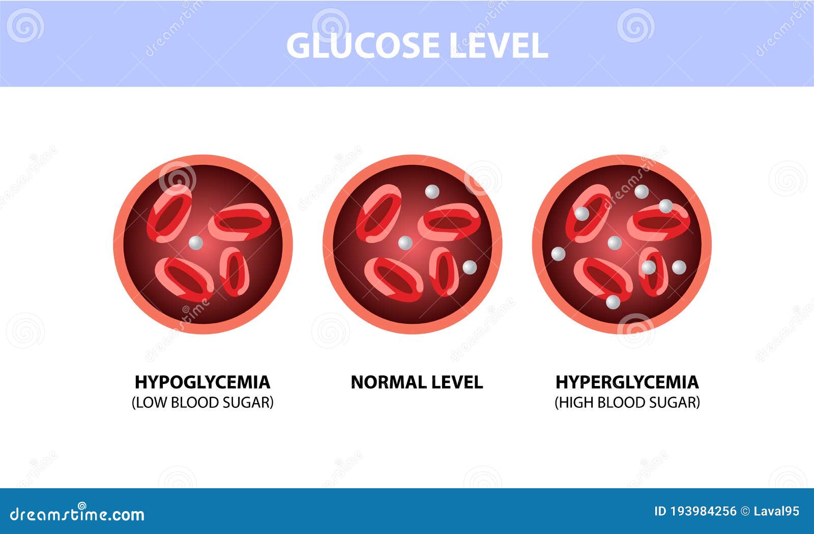 blood sugar glucose test. diabetes, insulin, hypoglycemia or hyperglycemia diagram, red blood cells and glucose