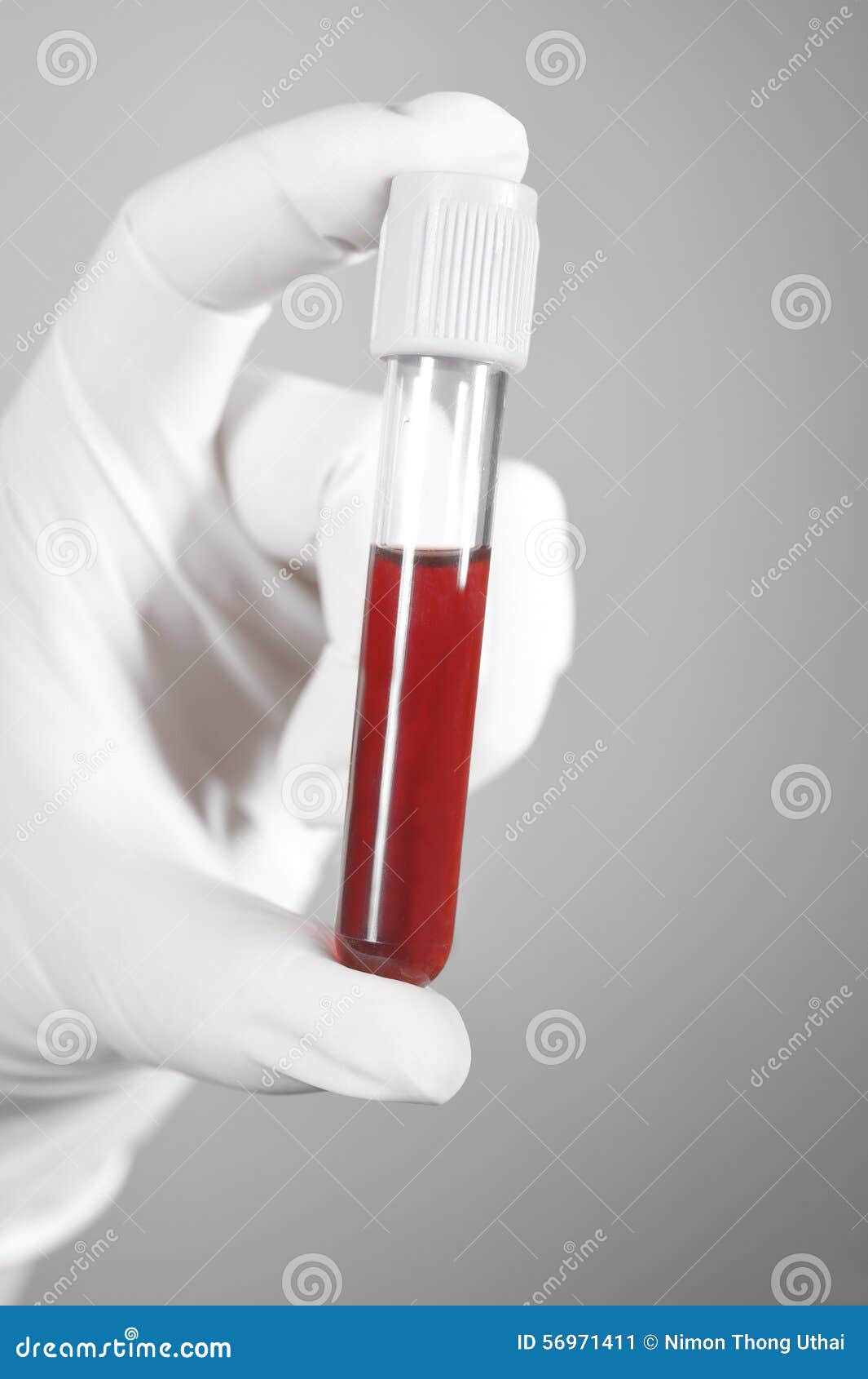 Blood Test Tube in a Laboratory Stock Image Image of medicine